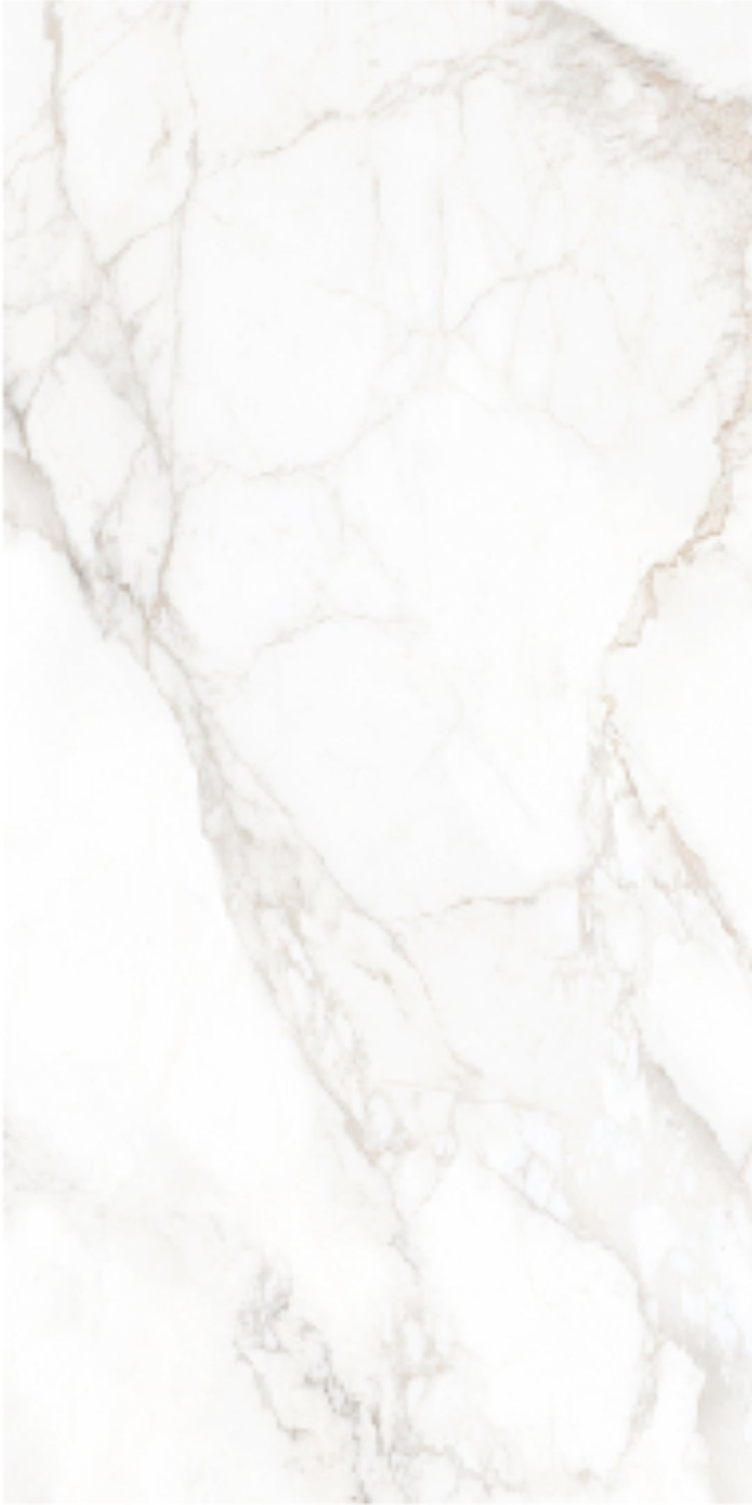 Siena Marble 60x120 - Matt Porcelain