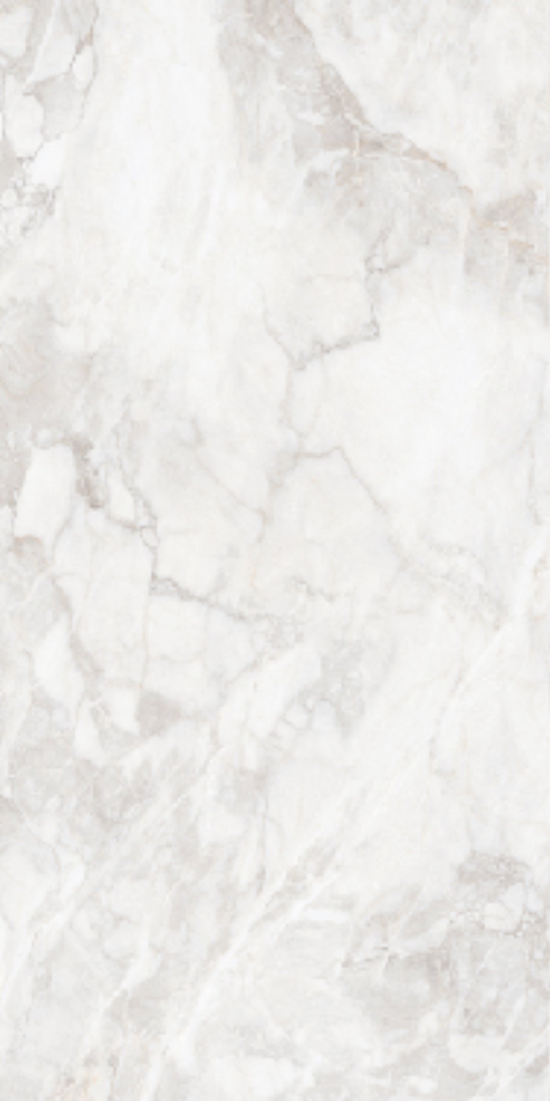Enigma Stone 60x120 - Polished Porcelain