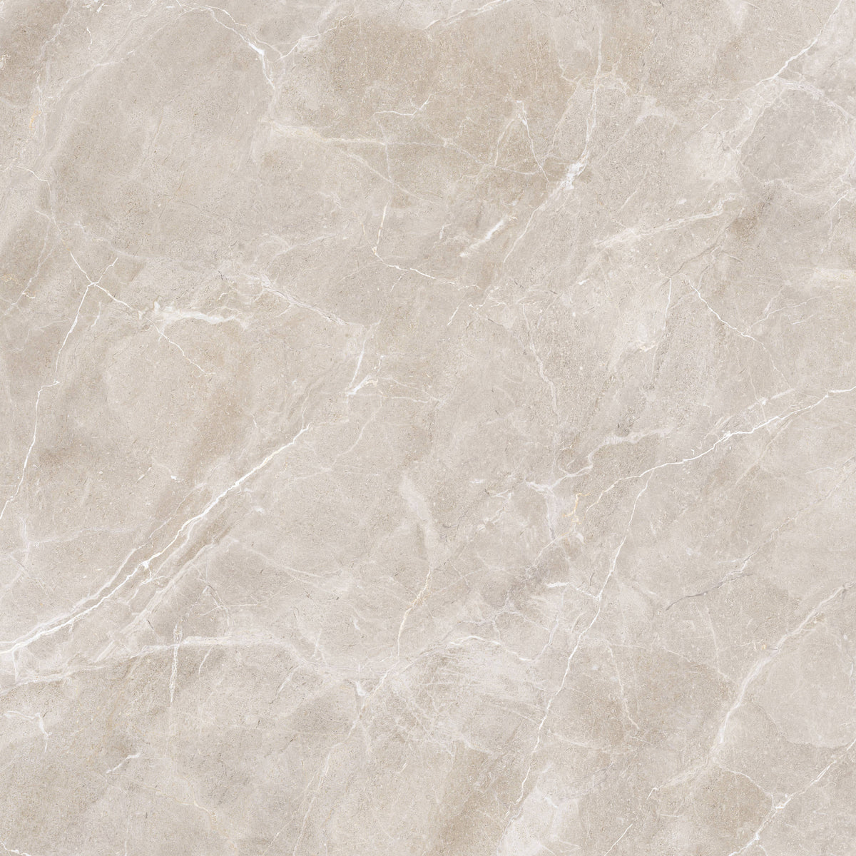 Petra Bone 100x100cm - Matt Porcelain Tiles